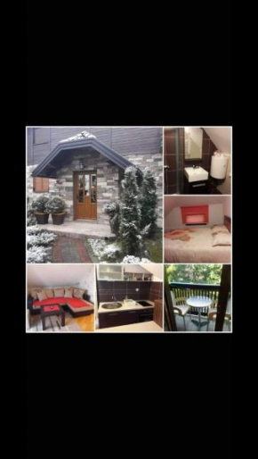 Apartman Andjella Zlatibor